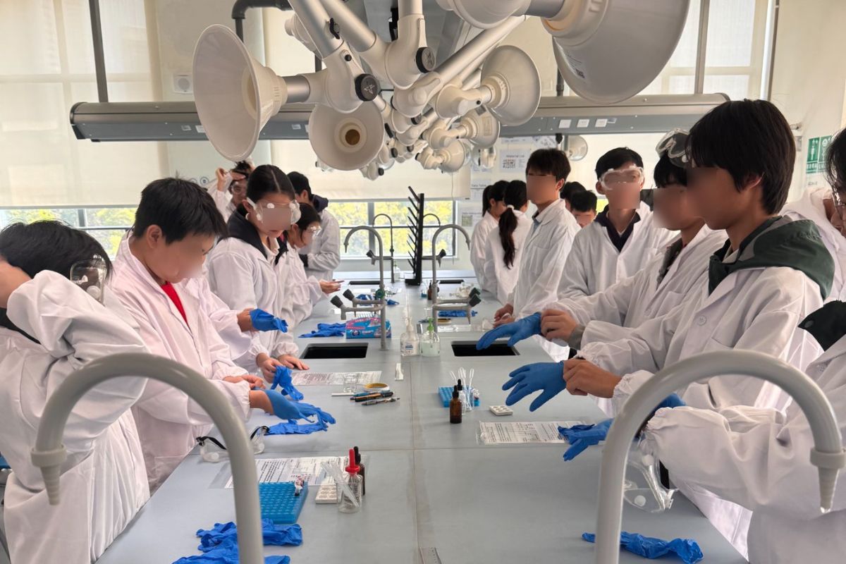 Senior students working together in a school science lab, conducting experiments and analysing results as part of collaborative learning