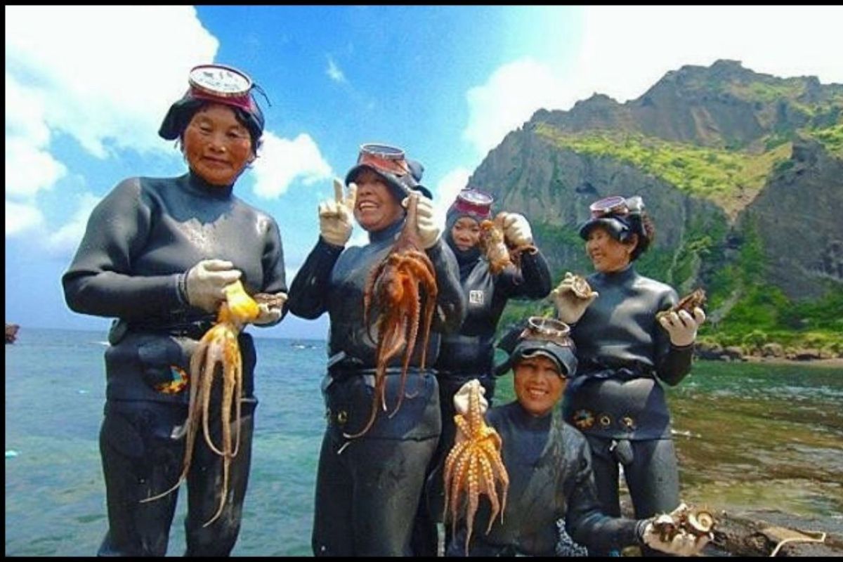 The Haenyeo of Jeju — UNESCO-recognised women free-divers who have worked these waters for generations  