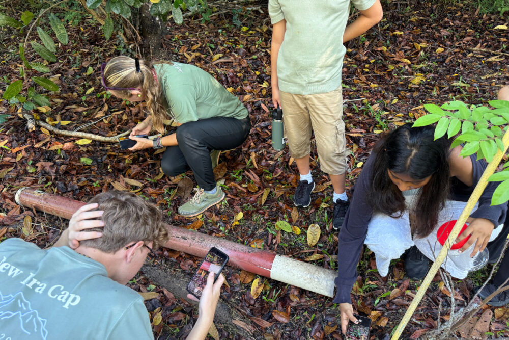 Students participating in a school BioBlitz event using iNaturalist to record biodiversity observations in Brunei